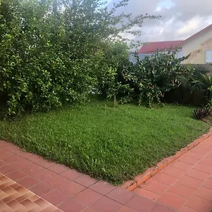 https://knedo.comcaribbean.com